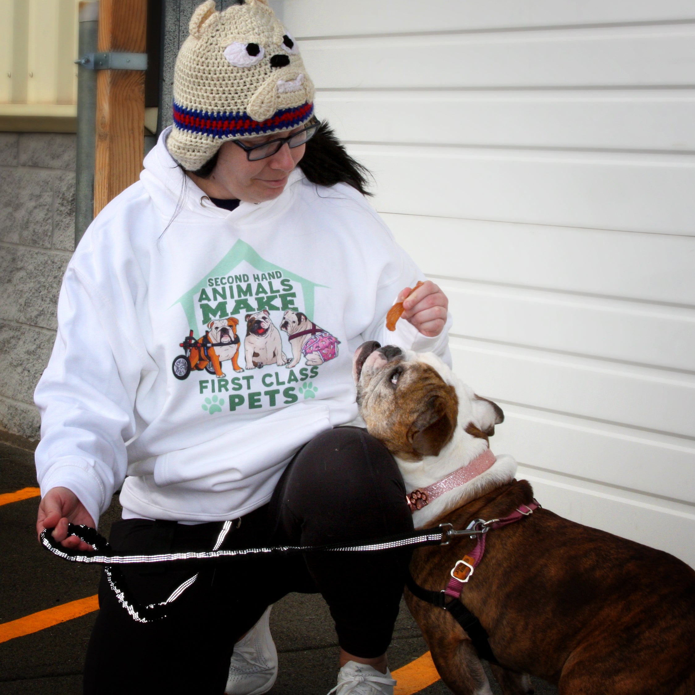 Special Bullies - Adorkabulls