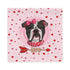 Gorgeous Black & White Colored Female English Bulldog Pink Valentine&