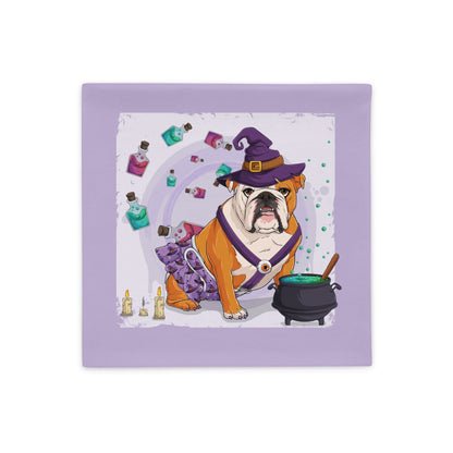 Halloween Potion &amp; Cauldron Pillow Case