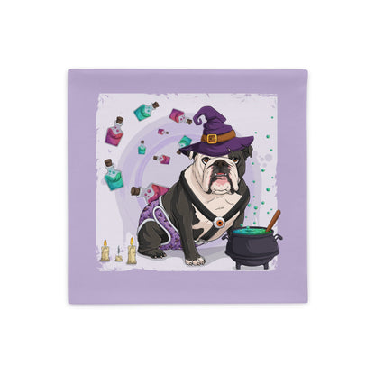 Halloween Potion &amp; Cauldron Pillow Case