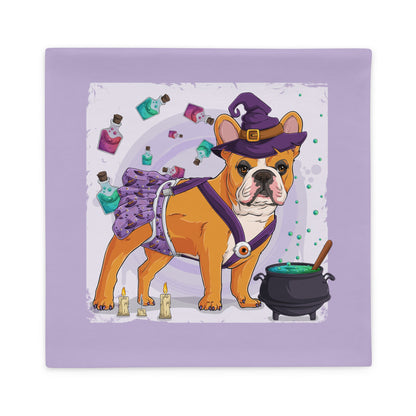 Halloween Potions &amp; Cauldron Pillow Case