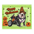 Halloween Pumpkins & Bats Throw Blanket