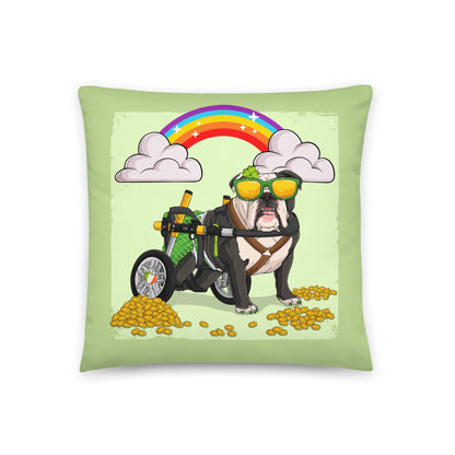 Rainbow Pillow
