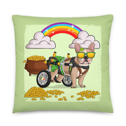 Rainbow Pillow