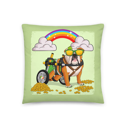 Rainbow Pillow